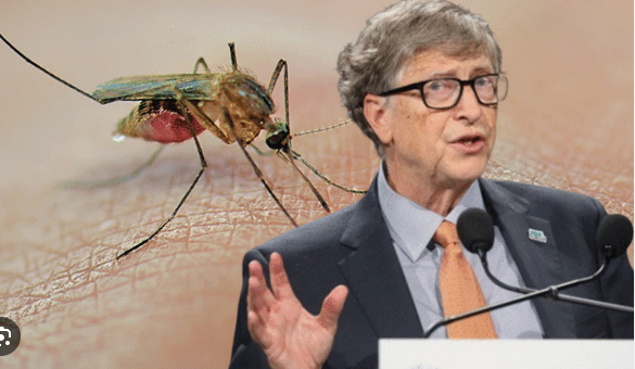 Bill Gates'ten dehşete düşüren proje! Milyonlarca sivrisineği sokaklara bıraktı, herkes kendine dikkat etsin 1