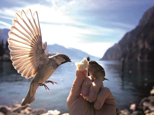 Hiç birini daha önce duymadınız... İşte çok az bilinen 24 Türk atasözü 14