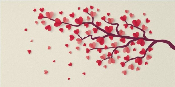 Hiç birini daha önce duymadınız... İşte çok az bilinen 24 Türk atasözü 6