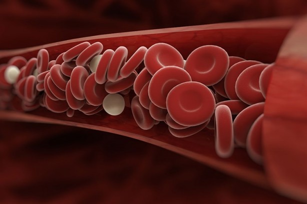 En zeki kan grubu belli oldu! O kana sahip olanların beyni... 3