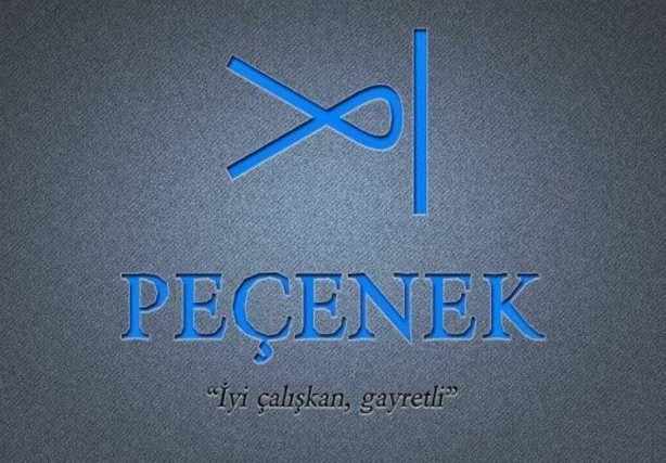 Hangi Türk boyundan geliyorsunuz? İşte cevabı 19