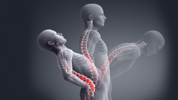 Hareketsiz yaşam tarzının neden olduğu hastalıklar 1