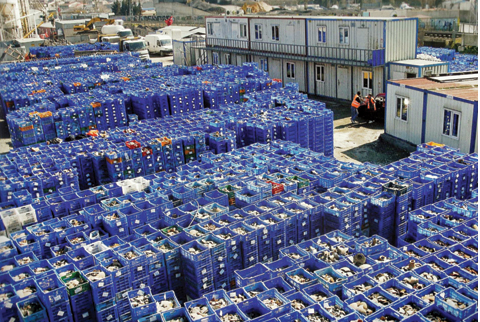 İstanbul'da denizin altından resmen hazine bulundu ama kazılar durma noktasına geldi! Şoke eden gelişme 13