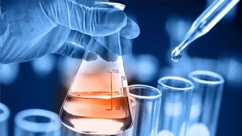 İşte o ürünler Almanya Türkiye’den kapış kapış aldı 4