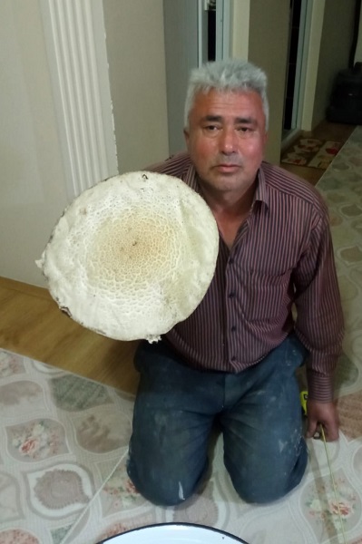 Kimse gözlerine inanamıyor! Böyle mantar görülmedi 6