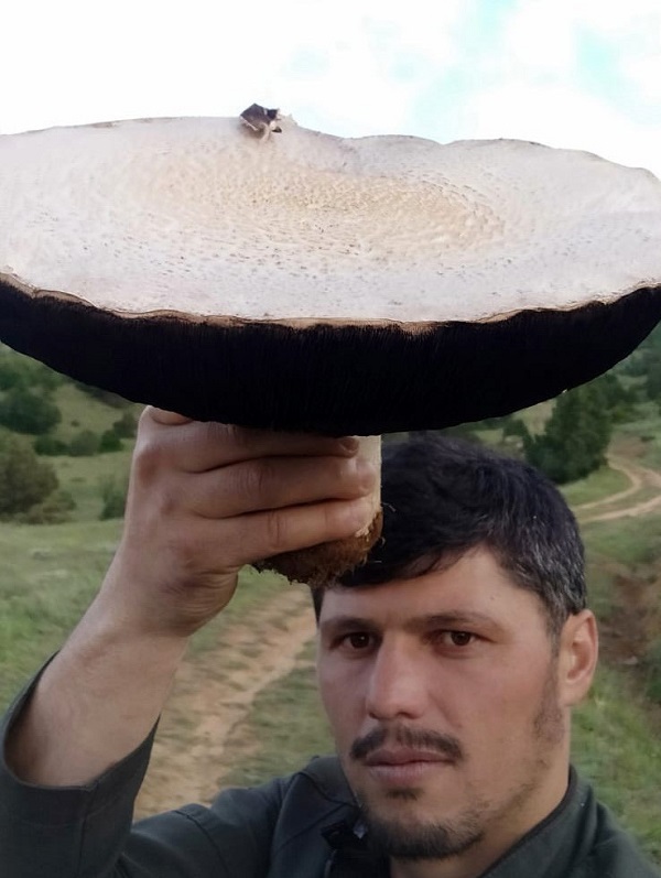 Kimse gözlerine inanamıyor! Böyle mantar görülmedi 2