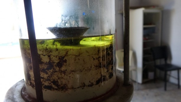 Ondan dudak uçuklatan kazanç sağlıyorlar! Yanlış duymadınız! Litresi 258 bin TL 3