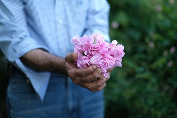 Ondan dudak uçuklatan kazanç sağlıyorlar! Yanlış duymadınız! Litresi 258 bin TL 7