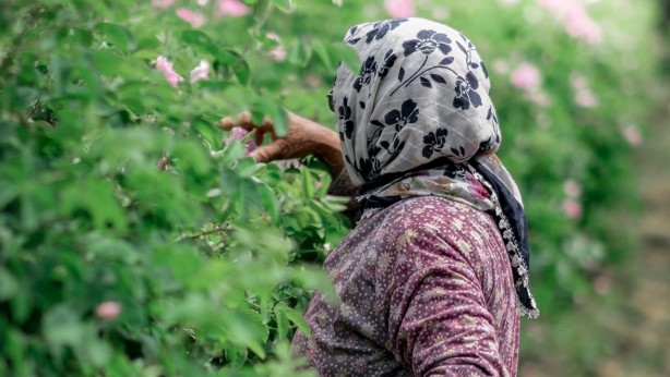 Ondan dudak uçuklatan kazanç sağlıyorlar! Yanlış duymadınız! Litresi 258 bin TL 8