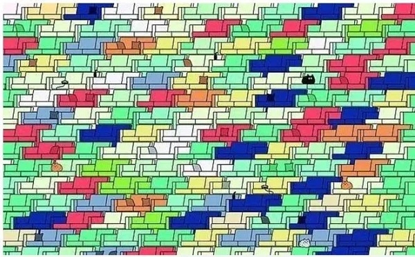 Sosyal medyada çok popüler | Ne kadar dikkatlisin tıkla gör! 3