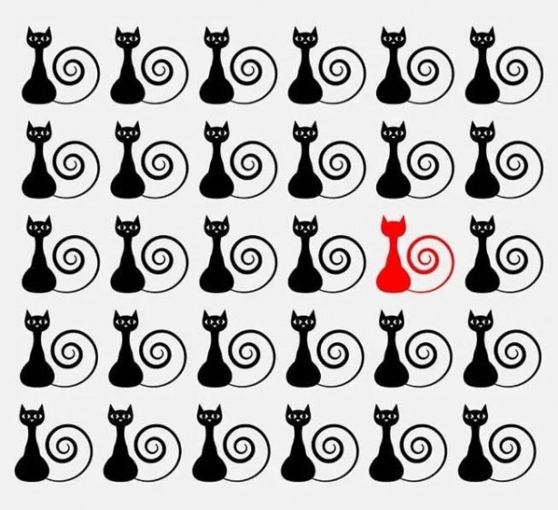 Sosyal medyada çok popüler | Ne kadar dikkatlisin tıkla gör! 18