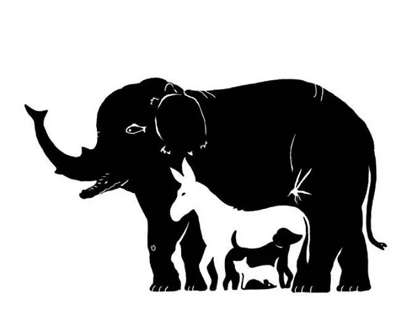 Sosyal medyada çok popüler | Ne kadar dikkatlisin tıkla gör! 15