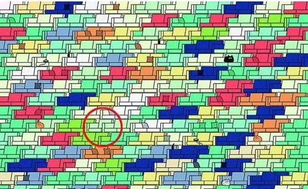 Sosyal medyada çok popüler | Ne kadar dikkatlisin tıkla gör! 4