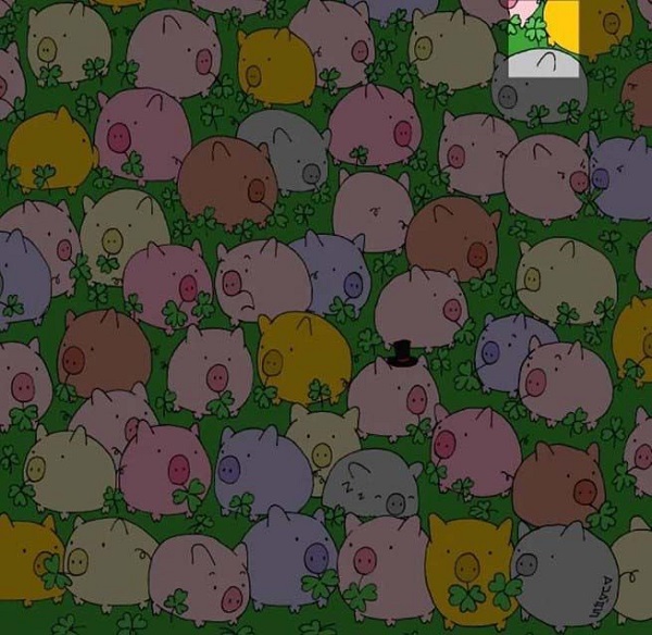 Sosyal medyada çok popüler | Ne kadar dikkatlisin tıkla gör! 8