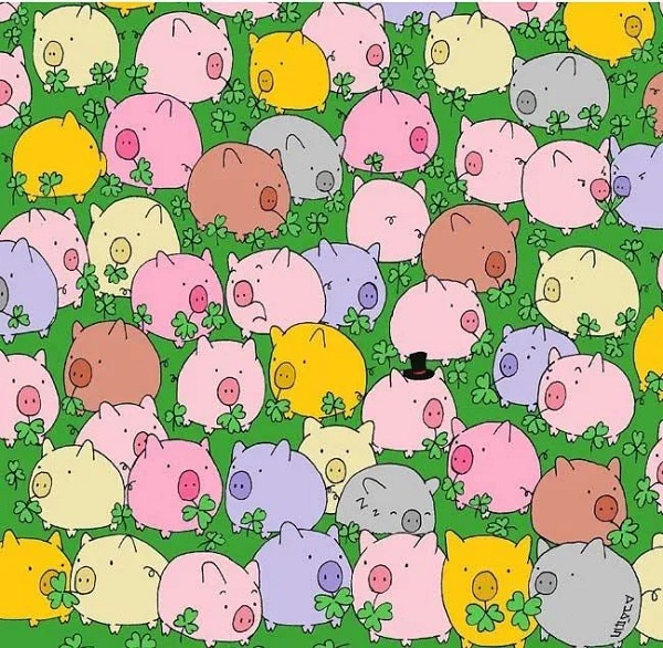 Sosyal medyada çok popüler | Ne kadar dikkatlisin tıkla gör! 7