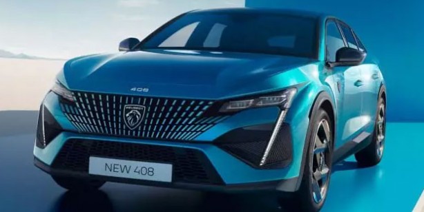 Türkiye'de 'Yılın Otomobili’ açıklandı 8