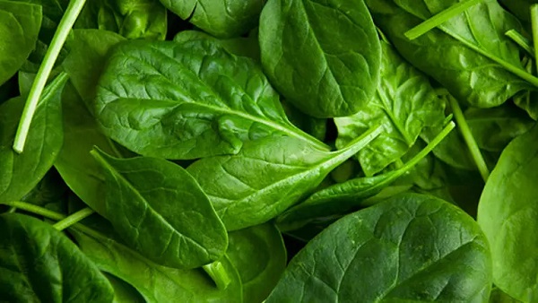 Uykudan önce mutlaka bunu yapın! 7