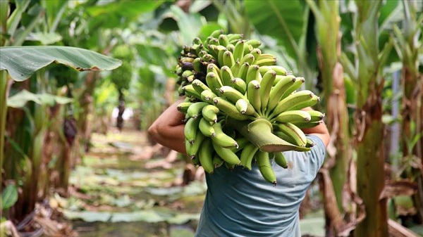 Uykudan önce mutlaka bunu yapın! 4