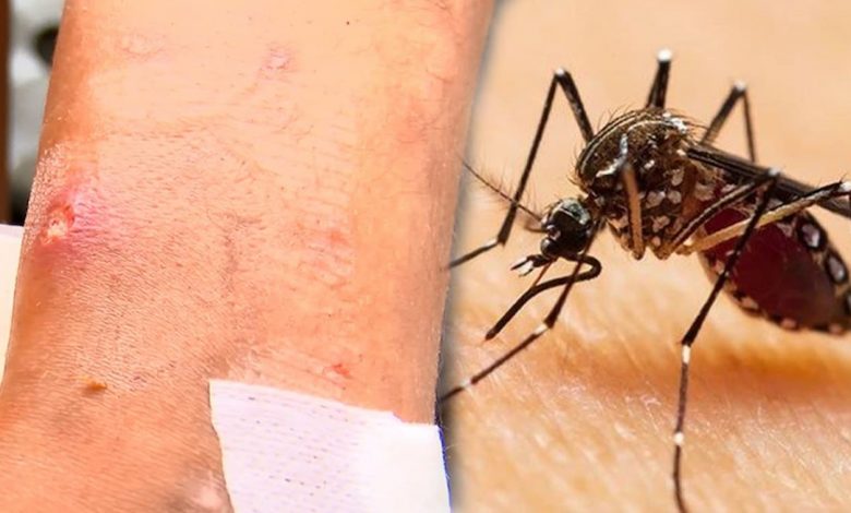 Köyde yaşayan erkekler yavaş yavaş ölüyor, kimse ne olduğunu anlayamıyordu… Türkiye'yi şoke eden koca katilleri! 4