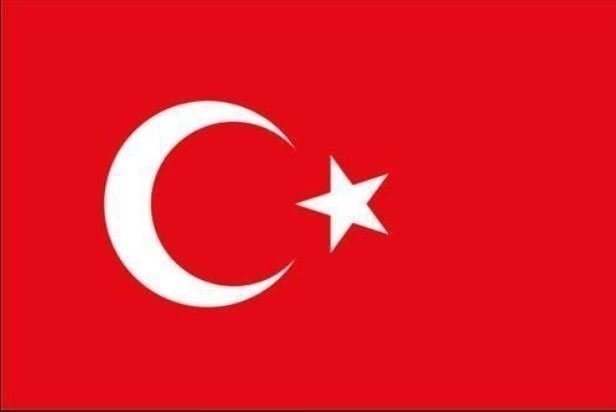 Hangi Türk boyuna mensupsun? İşte Türklerin soy ağacı listesi! Eğer bu şehirde doğduysanız… 17