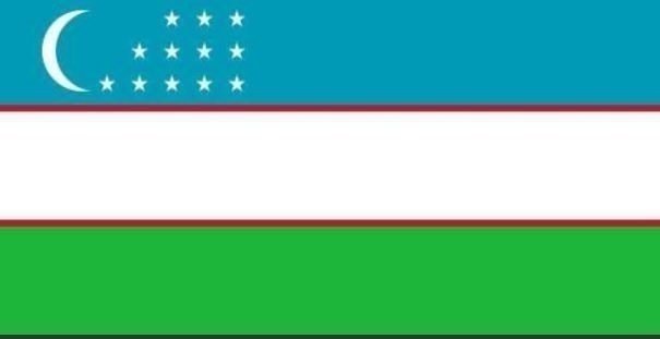 Hangi Türk boyuna mensupsun? İşte Türklerin soy ağacı listesi! Eğer bu şehirde doğduysanız… 23