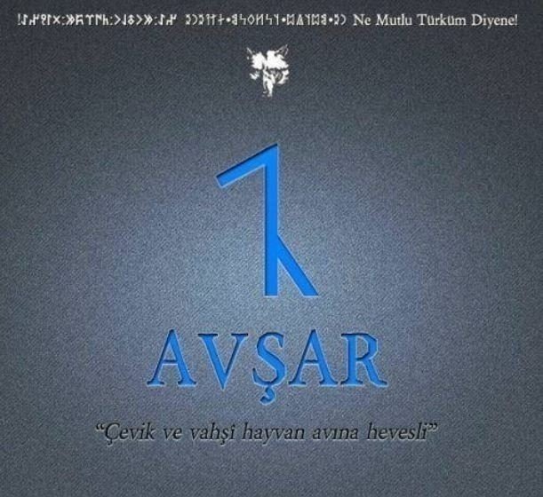 Hangi Türk boyuna mensupsun? İşte Türklerin soy ağacı listesi! Eğer bu şehirde doğduysanız… 37