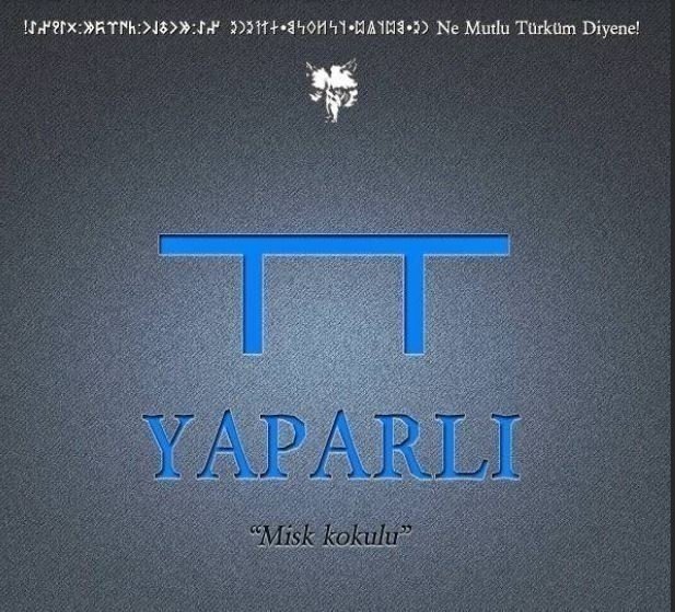 Hangi Türk boyuna mensupsun? İşte Türklerin soy ağacı listesi! Eğer bu şehirde doğduysanız… 36