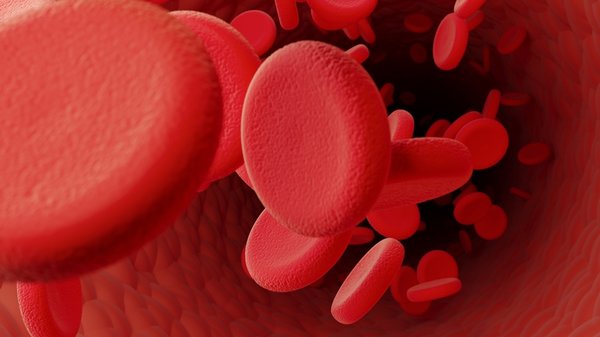 Bacaklardaki bu ağrıya dikkat! Kalbin çürüdüğünün sinyali: Yürürken bunu hissediyorsanız... 7