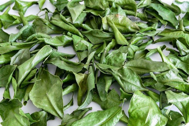 Öyle bir çay ki bu vücutta ne eklem ağrısı bırakıyor ne de kas! İltihap kurutucu bu bitki tüm bedeni temizliyor 6