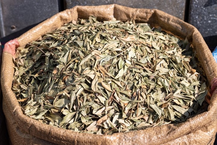 Öyle bir çay ki bu vücutta ne eklem ağrısı bırakıyor ne de kas! İltihap kurutucu bu bitki tüm bedeni temizliyor 2