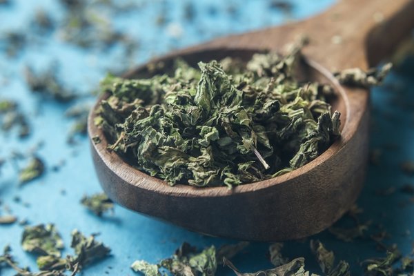 Vücutta "doğal klima" etkisi oluşturuyor: Bu yaz hiç "sıcak" demeyeceksiniz! Suyun içine birkaç damla... 3