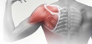 5 Hareketle parmağınız size her şeyinizi söylesin: Ortaya çıkan sonuç bakın nasıl! Şaşırtan olay 3