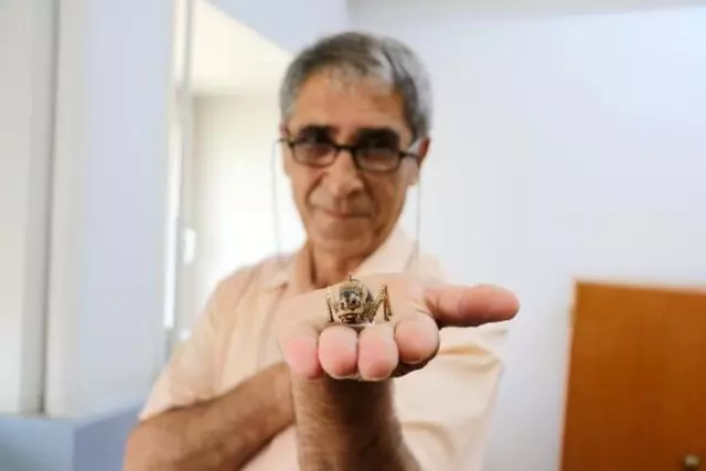 Erkeğini yemesi ile biliniyor! 'Yamyam' çekirge Mardin'de görüntülendi: Tehlike altında... 4