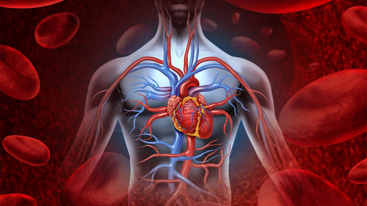 Neden sık sık hasta olduğunuzu öğrenince çok şaşıracaksınız! Meğer insanlar… 15