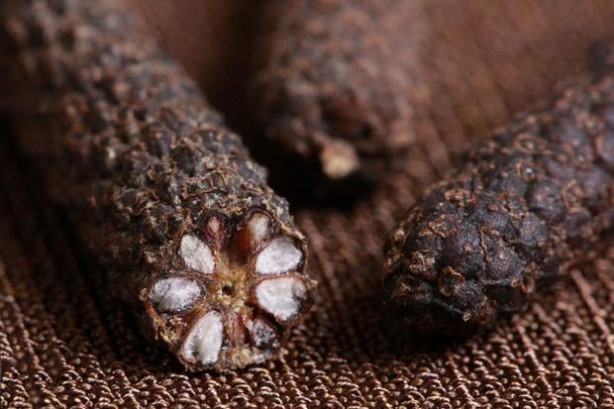 Bitki değil yürüyen eczane! Çok az kişi biliyor! Evinden eksik eden... 5