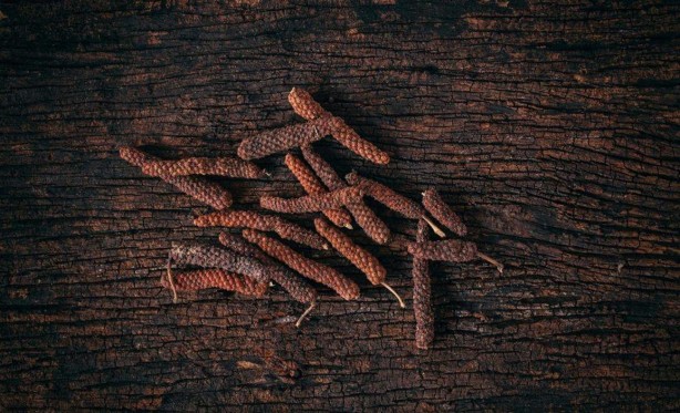 Bitki değil yürüyen eczane! Çok az kişi biliyor! Evinden eksik eden... 1