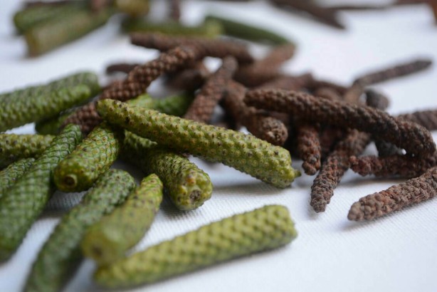 Bitki değil yürüyen eczane! Çok az kişi biliyor! Evinden eksik eden... 2