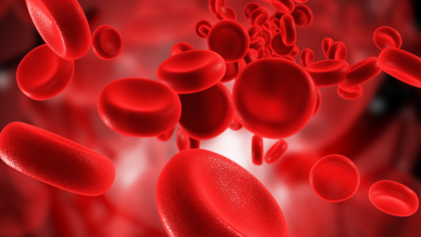 Hastalık onların yanına bile uğramıyor! Bu kan grubundan olanlar adeta… 5