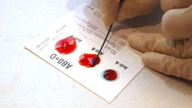 Hastalık onların yanına bile uğramıyor! Bu kan grubundan olanlar adeta… 4