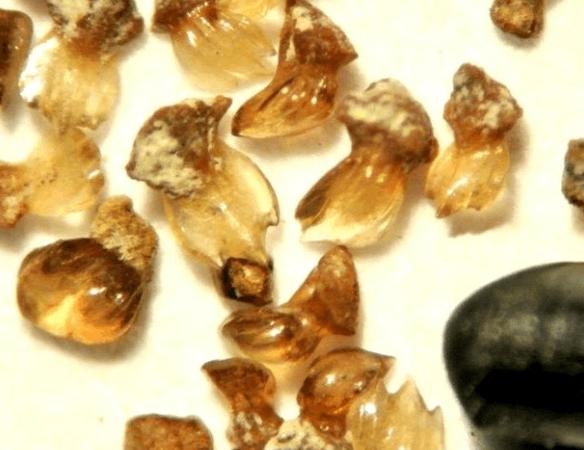 "Burada dünyaya büyük bir mesaj var" diyerek duyurdular! Şoke eden gerçek, sonunda ortaya çıktı 1