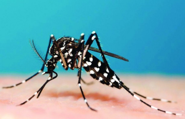 Dünya panikte! Büyük istila her an başlayabilir! Türkiye de dahil olacak 8