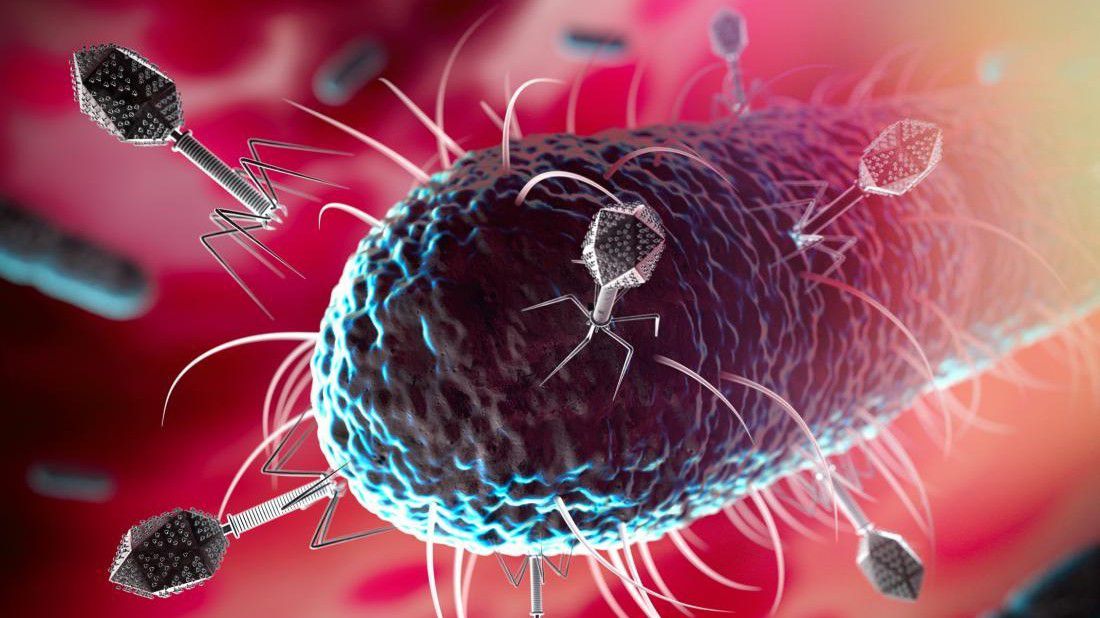 Neden sık sık hasta olduğunuzu öğrenince çok şaşıracaksınız! Meğer insanlar… 19