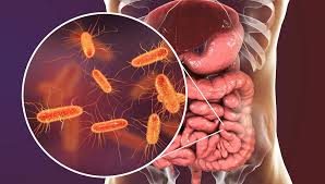 Neden sık sık hasta olduğunuzu öğrenince çok şaşıracaksınız! Meğer insanlar… 6