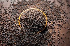 İşte keskin zekanın sırrı! İbn-i Sina'nın eskimeyen formülü 7