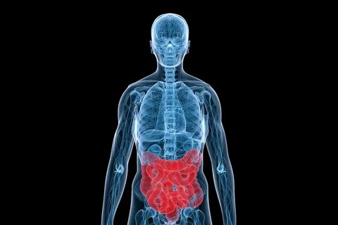 Kimse bunu bilmiyor! İşte vücudu en hızlı zehirleyen besin… 2