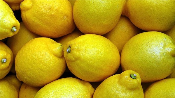 Limonlu su gerçekten faydalı mı? Canan Karatay'dan şaşırtan açıklama 6