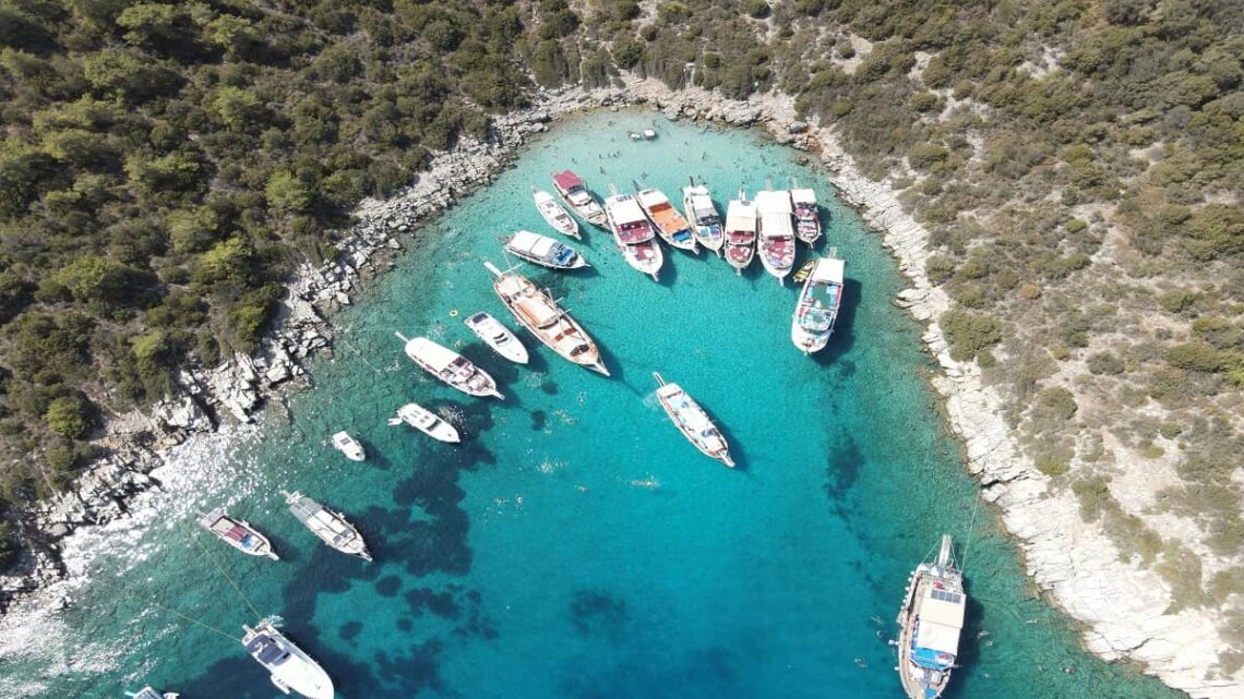 Türkiye'nin en zeki şehirleri belli oldu! Şoke eden gerçek: O şehirde yaşayanlar dahi çıktı! 7