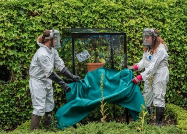 Ormanda yürüyüş yapanlar dikkat! Bu bitkiye dokunan iki gün içinde ölüyor! 1