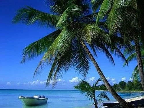 Osmanlı Devleti hangi ülkeyi kaç yıl yönetti? Duyunca çok şaşıracaksınız... 59