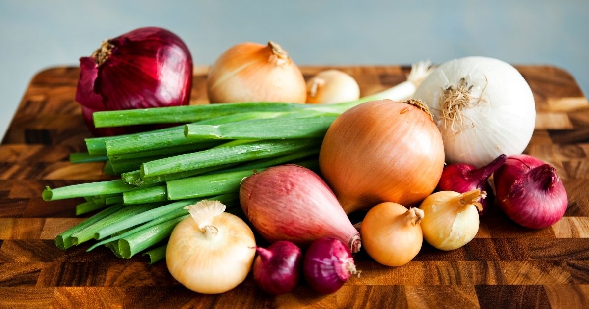 Resmen kansere davetiye çıkarıyor! Canan Karatay'dan soğanla ilgili ezber bozan açıklama! 9